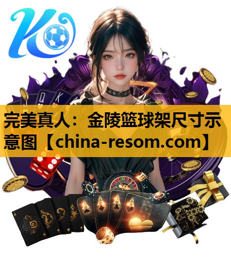 完美真人：金陵篮球架尺寸示意图