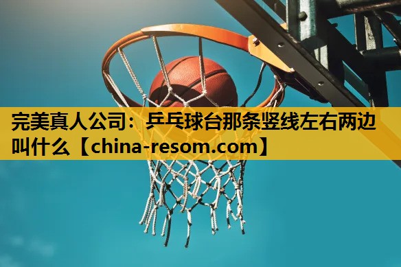 乒乓球台那条竖线左右两边叫什么